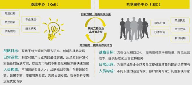 安永：跨职能共享服务中心中的卓越中心建设与实践(图4)